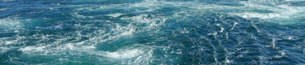 徳島県観光情報サイト